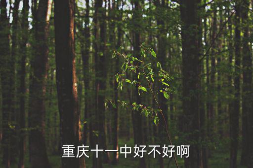 重慶十一中好不好啊