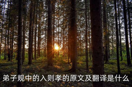 入則孝，入則孝是何意