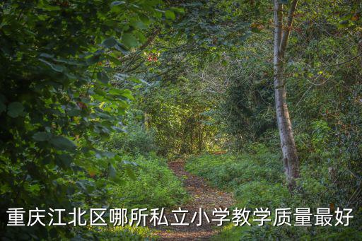 重慶江北區(qū)哪所私立小學(xué)教學(xué)質(zhì)量最好