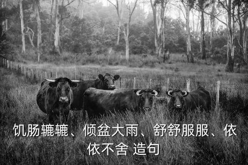  饑腸轆轆、傾盆大雨、舒舒服服、依依不舍 造句