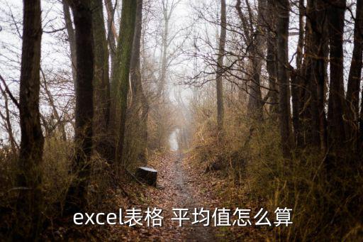  excel表格 平均值怎么算