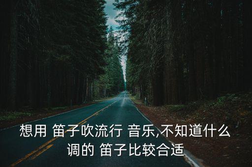 想用 笛子吹流行 音樂,不知道什么調(diào)的 笛子比較合適