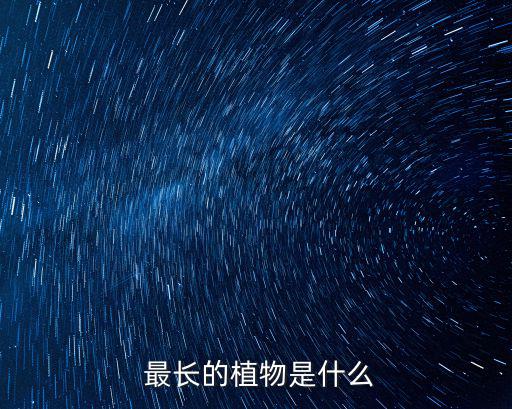  最長的植物是什么