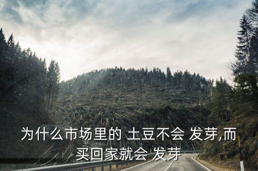 為什么市場里的 土豆不會 發芽,而買回家就會 發芽