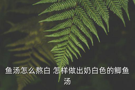 魚湯怎么熬白 怎樣做出奶白色的鯽魚湯