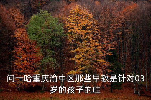 問一哈重慶渝中區那些早教是針對03歲的孩子的哇
