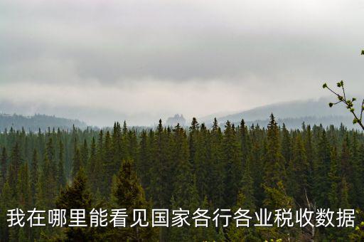 我在哪里能看見國家各行各業稅收數據