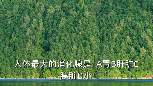 最大的消化腺，人體最大的消化腺是  A胃B肝臟C胰臟D小