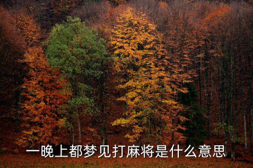 一晚上都夢見打麻將是什么意思
