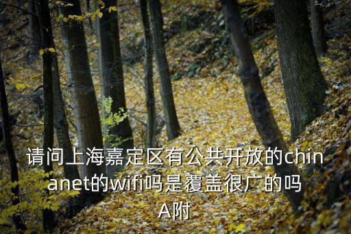 上海市公共數據開放平臺，上海開放大學登錄平臺周日不能登錄嗎