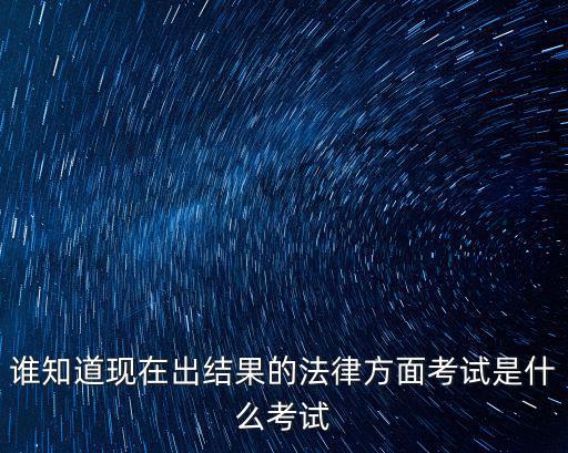 誰知道現(xiàn)在出結(jié)果的法律方面考試是什么考試