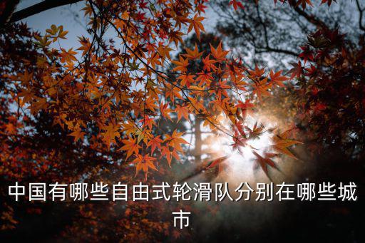 中國有哪些自由式輪滑隊分別在哪些城市
