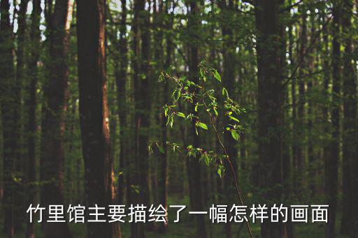 竹林怎么畫,晨光|紙上風云:窗外的森林變得更活潑
