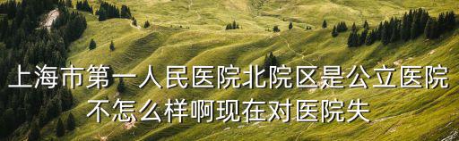上海市第一人民醫(yī)院北院區(qū)是公立醫(yī)院不怎么樣啊現(xiàn)在對(duì)醫(yī)院失