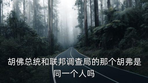  胡佛總統(tǒng)和聯(lián)邦調(diào)查局的那個(gè)胡弗是同一個(gè)人嗎