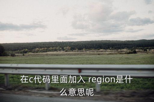 在c代碼里面加入 region是什么意思呢