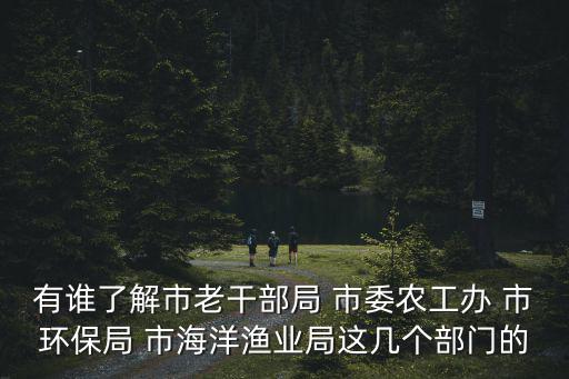 有誰了解市老干部局 市委農工辦 市環保局 市海洋漁業局這幾個部門的