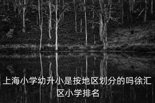 上海小學幼升小是按地區劃分的嗎徐匯區小學排名