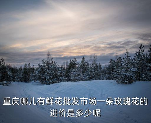 重慶哪兒有鮮花批發市場一朵玫瑰花的進價是多少呢