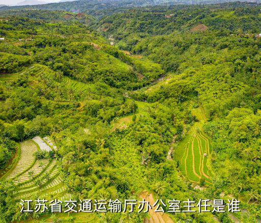 江蘇省交通運輸廳辦公室主任是誰