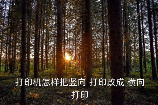  打印機怎樣把豎向 打印改成 橫向 打印