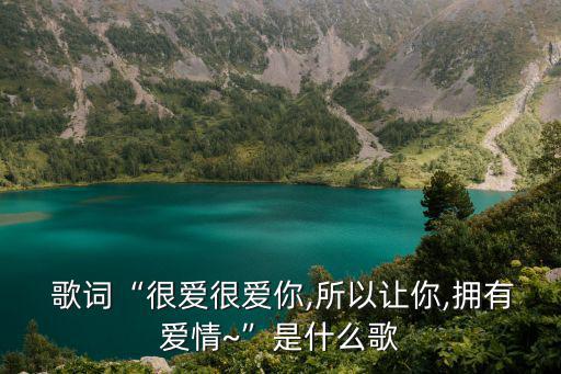 很愛很愛你歌詞,我愿意飛到幸福的地方不把你綁起來