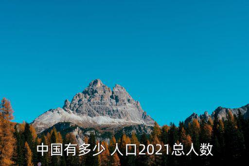 中國有多少 人口2021總人數