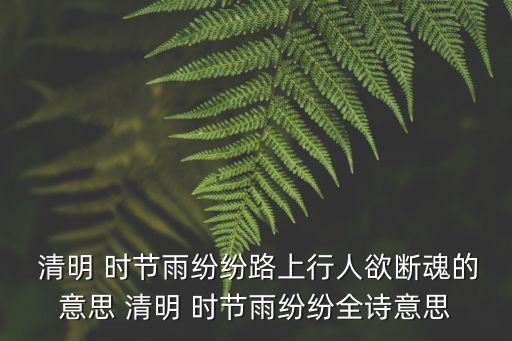  清明 時節雨紛紛路上行人欲斷魂的意思 清明 時節雨紛紛全詩意思
