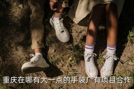 重慶在哪有大一點的手袋廠有項目合作