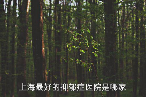 上海最好的抑郁癥醫(yī)院是哪家