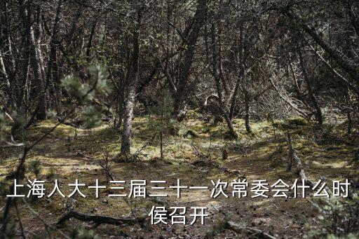 上海人大十三屆三十一次常委會什么時侯召開
