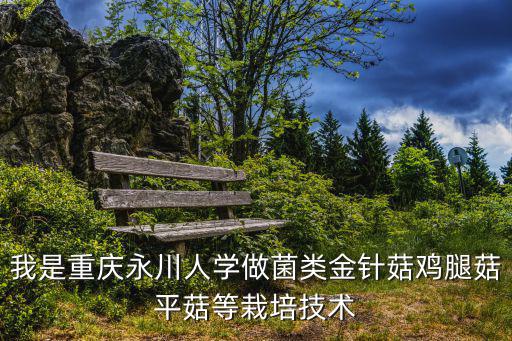 我是重慶永川人學做菌類金針菇雞腿菇平菇等栽培技術