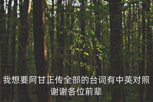 我想要阿甘正傳全部的臺詞有中英對照謝謝各位前輩