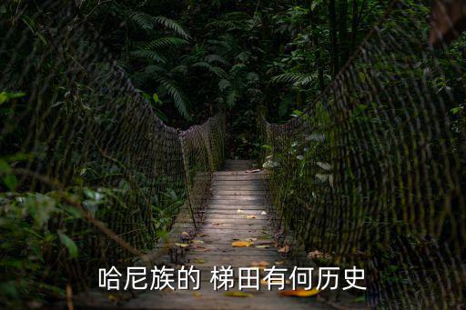 梯田文化,世界遺產(chǎn)申報(bào)地核心區(qū)元陽縣17萬畝梯田連片成片