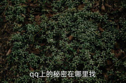 qq找密，怎么找回QQ密碼