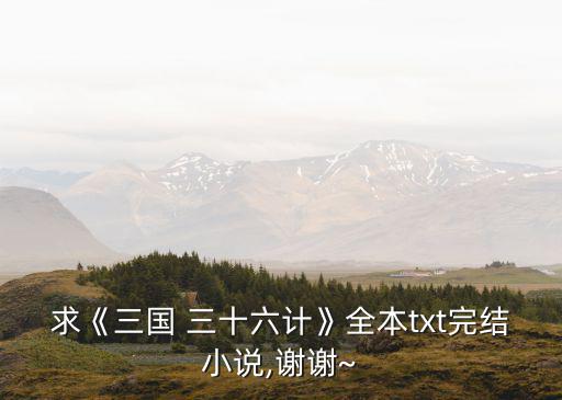求《三國 三十六計(jì)》全本txt完結(jié)小說,謝謝~