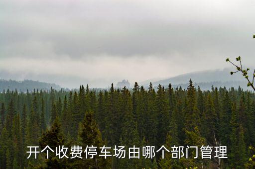開個收費停車場由哪個部門管理