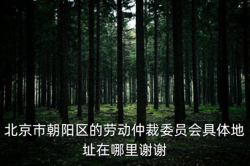 北京市朝陽區的勞動仲裁委員會具體地址在哪里謝謝