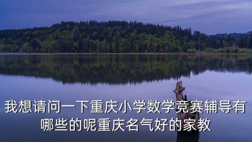 我想請問一下重慶小學(xué)數(shù)學(xué)競賽輔導(dǎo)有哪些的呢重慶名氣好的家教