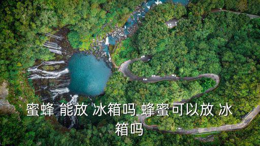 蜜蜂 能放 冰箱嗎 蜂蜜可以放 冰箱嗎