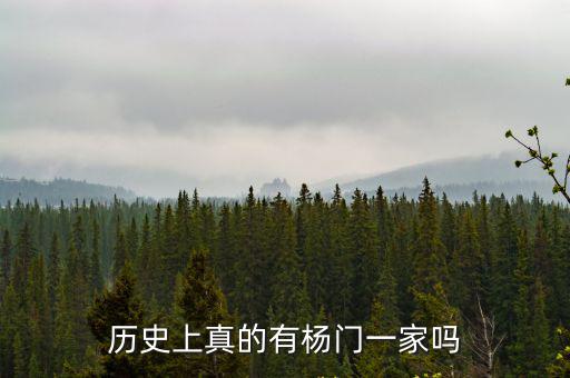 歷史上真的有楊門一家嗎