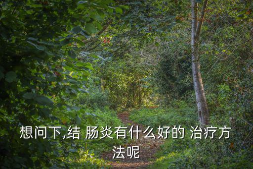 想問下,結 腸炎有什么好的 治療方法呢