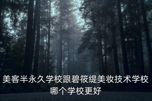 美客半永久學(xué)校跟碧筱緹美妝技術(shù)學(xué)校哪個學(xué)校更好