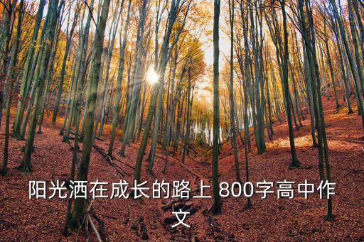 陽光灑在成長的路上 800字高中作文