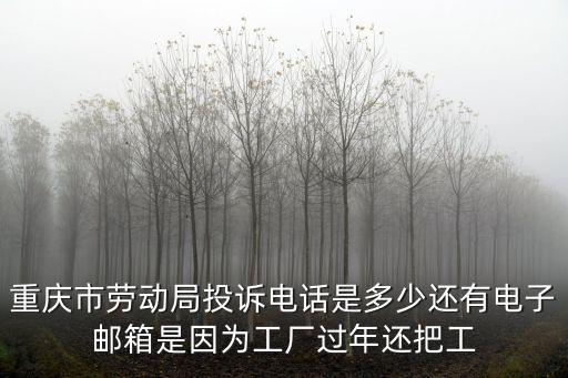 重慶市開州勞動局電話，重慶市開縣勞動監察局電話是多少呢