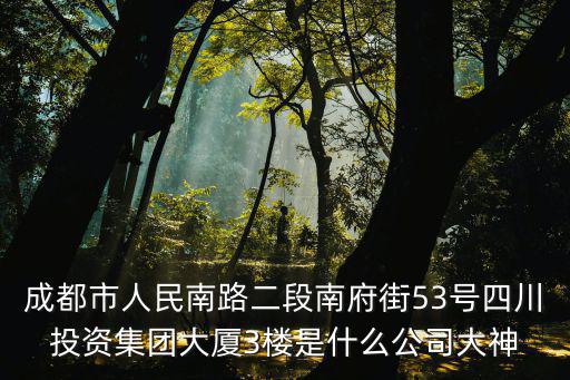 成都市人民南路二段南府街53號四川投資集團大廈3樓是什么公司大神