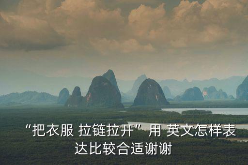 拉鏈英文,時尚錢包拉鏈口袋和拉鏈頂部關閉是否有問題?