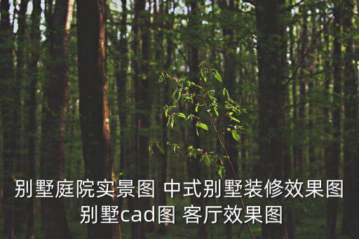 別墅庭院實景圖 中式別墅裝修效果圖 別墅cad圖 客廳效果圖