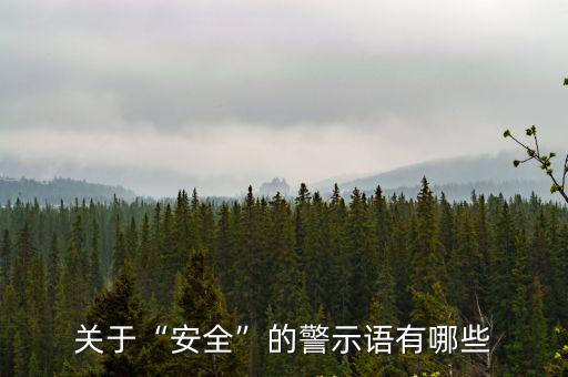 關(guān)于“安全”的警示語有哪些