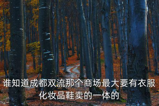 誰知道成都雙流那個商場最大要有衣服化妝品鞋賣的一體的